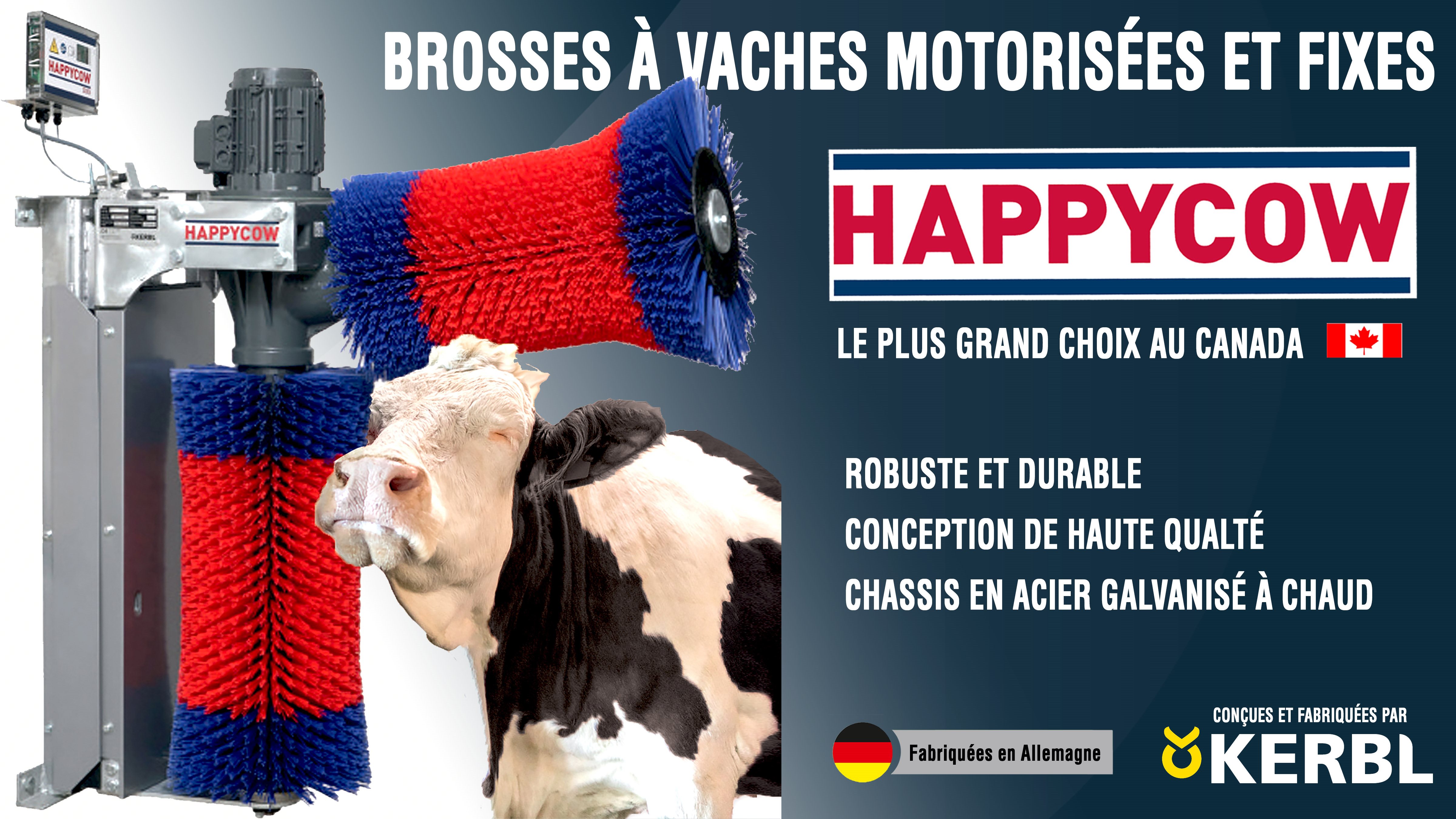 Banniere_web_brosse_a_vache_FR